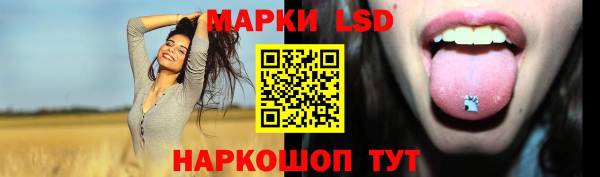 LSD-25 экстази кислота  Вход с VPN  Новозыбков 