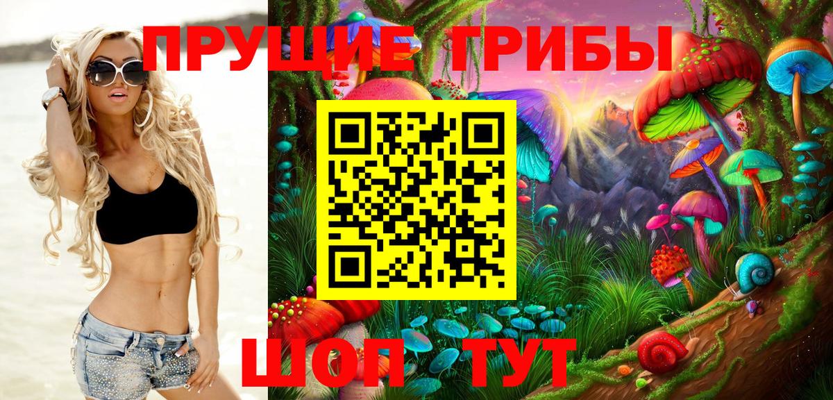 Галлюциногенные грибы Cubensis Новозыбков