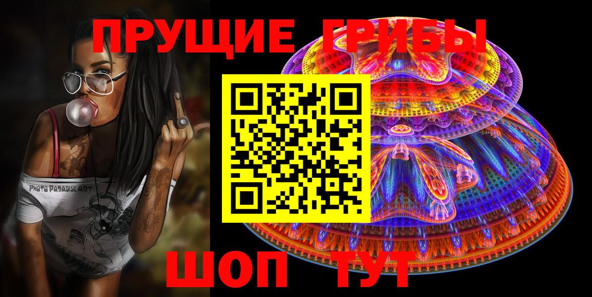 где купить наркоту  Вход с VPN  Новозыбков  Псилоцибиновые грибы Magic Shrooms 
